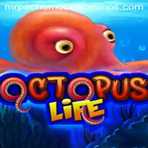 Exploring the Intriguing World of OctopusLife: An Adventure with MrPacho